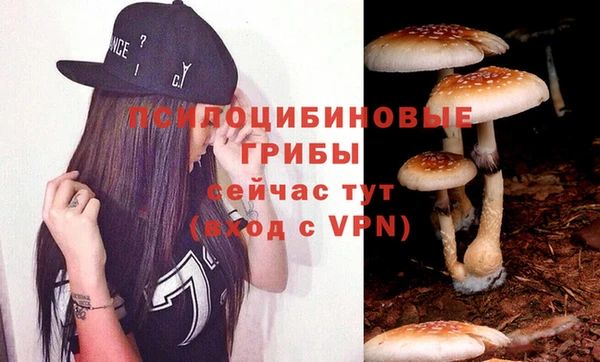 соль курить ск Богородицк